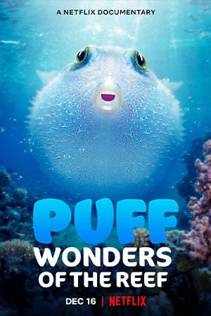 ดูหนังออนไลน์ฟรี Puff Wonders of the Reef (2021) พัฟฟ์ มหัศจรรย์แห่งปะการัง movie678