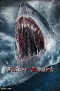 ดูหนังออนไลน์ฟรี Killer Shark (2021) ฉลามคลั่ง ทะเลมรณะ movie678