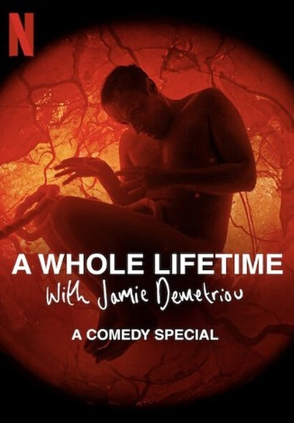 ดูหนังออนไลน์ ดูหนังออนไลน์ใหม่ NETFLIX A Whole Lifetime with Jamie Demetriou 2023 movie678
